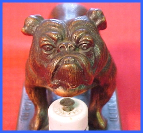 IEP Bulldog